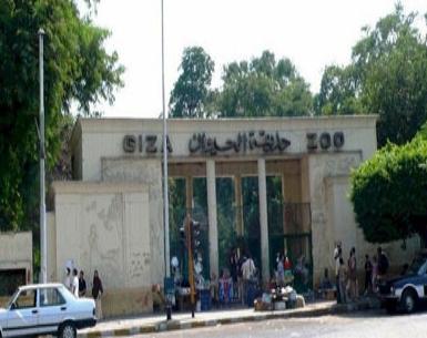 ملف:ضمن فاعليات عيد النصر.jpg