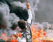 ملف:New P 390 310 .jpg