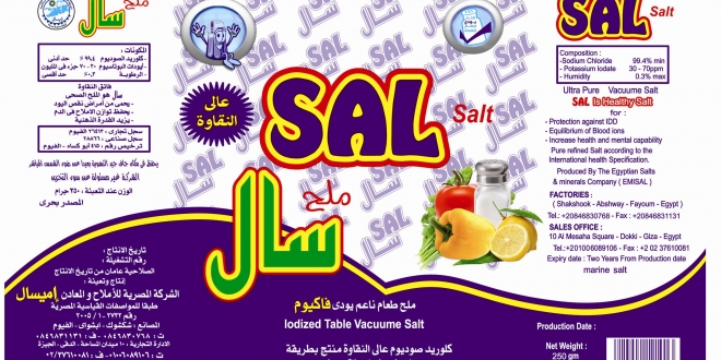 ملف:5 معلومات حول خصخصة شركة “إميسال.jpg