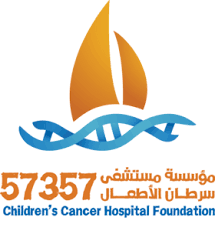 حظر النشر بقضية 57357.. حماية للفساد.png