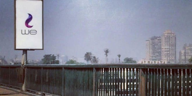 ملف:دورة حياة بلحة.jpg