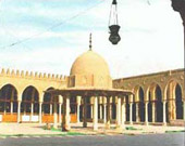 حوارات298.jpg