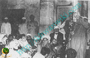 عمر التلمساني1.gif