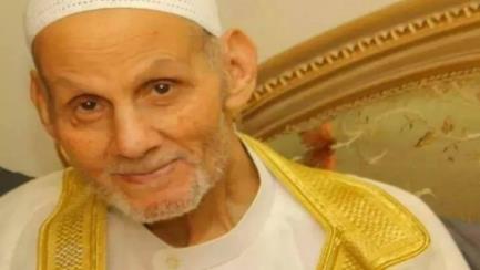 ملف:أسد الدعوة.jpg
