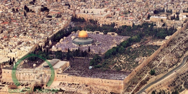 ملف:عروس العروبة.jpg