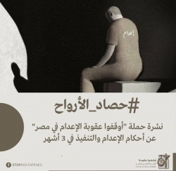 توثق تنفيذ 69 حكما.jpg