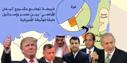 العملية العسكرية في سيناء...jpg