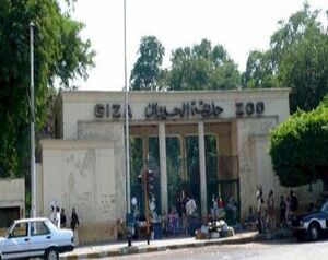 ضمن فاعليات عيد النصر.jpg