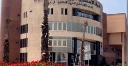 2,5» مليار جنيه خسائر «الإسكندرية للزيوت.jpg