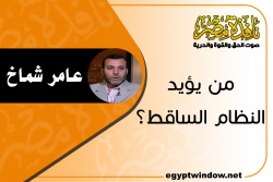 من يؤيد النظام الساقط؟.jpg