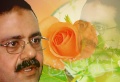 تصغير للنسخة بتاريخ ١٤:٠١، ١٥ مايو ٢٠١١