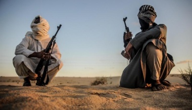 ولاية سيناء.jpg