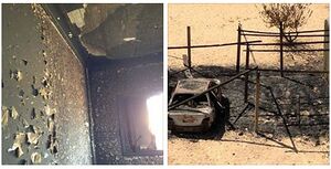 الذي لحق بسيناء6.jpeg