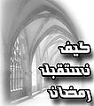 تصغير للنسخة بتاريخ ٠٣:٠٦، ١ يونيو ٢٠١٠