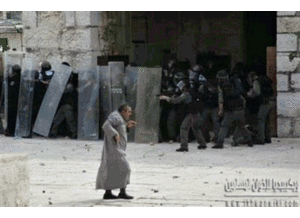 فلسطين.gif