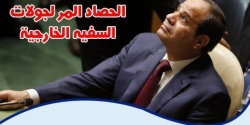 الحصاد المرّ لجولات السيسي الخارجية.jpg