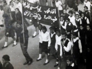 18671138 1349763635070708 4978747503616441805 n.jpg