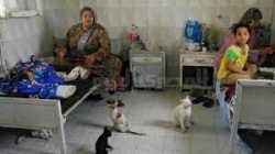 السيسي يواجه الأزمات بالشعارات الوطنية.jpg