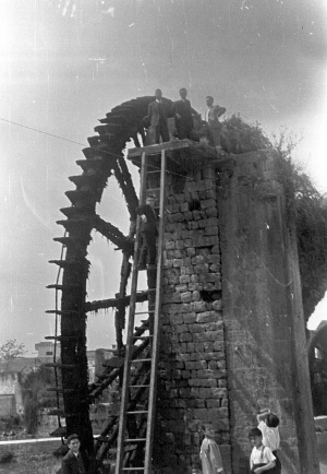 نواعير حماه، فيصل مولوي، فاروق الحاج، ابراهيم مصري، عمر..، محمد علي ضناوي، نواعير حماه، نيسان 1960.jpg