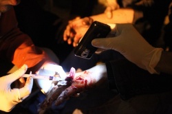 إحتدام الثورة (403).jpg