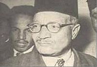 المستشار الهضيبي.JPG