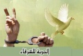 تصغير للنسخة بتاريخ ١٢:٠٣، ١٣ أغسطس ٢٠١١
