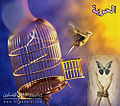 تصغير للنسخة بتاريخ ٢٢:٥١، ٣ مارس ٢٠١٠