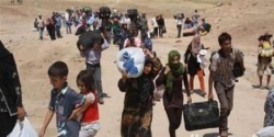 التهجير القسري من رفح للعريش.jpg