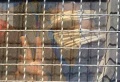 تصغير للنسخة بتاريخ ١٤:٥٦، ١٣ أغسطس ٢٠١١