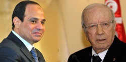 من السيسي للسبسي.. جهل المستبدين.jpg
