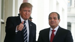 بماذا ترد بطة الانقلاب؟.jpg
