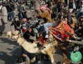 تصغير للنسخة بتاريخ ١٩:١١، ١٧ يناير ٢٠١٢